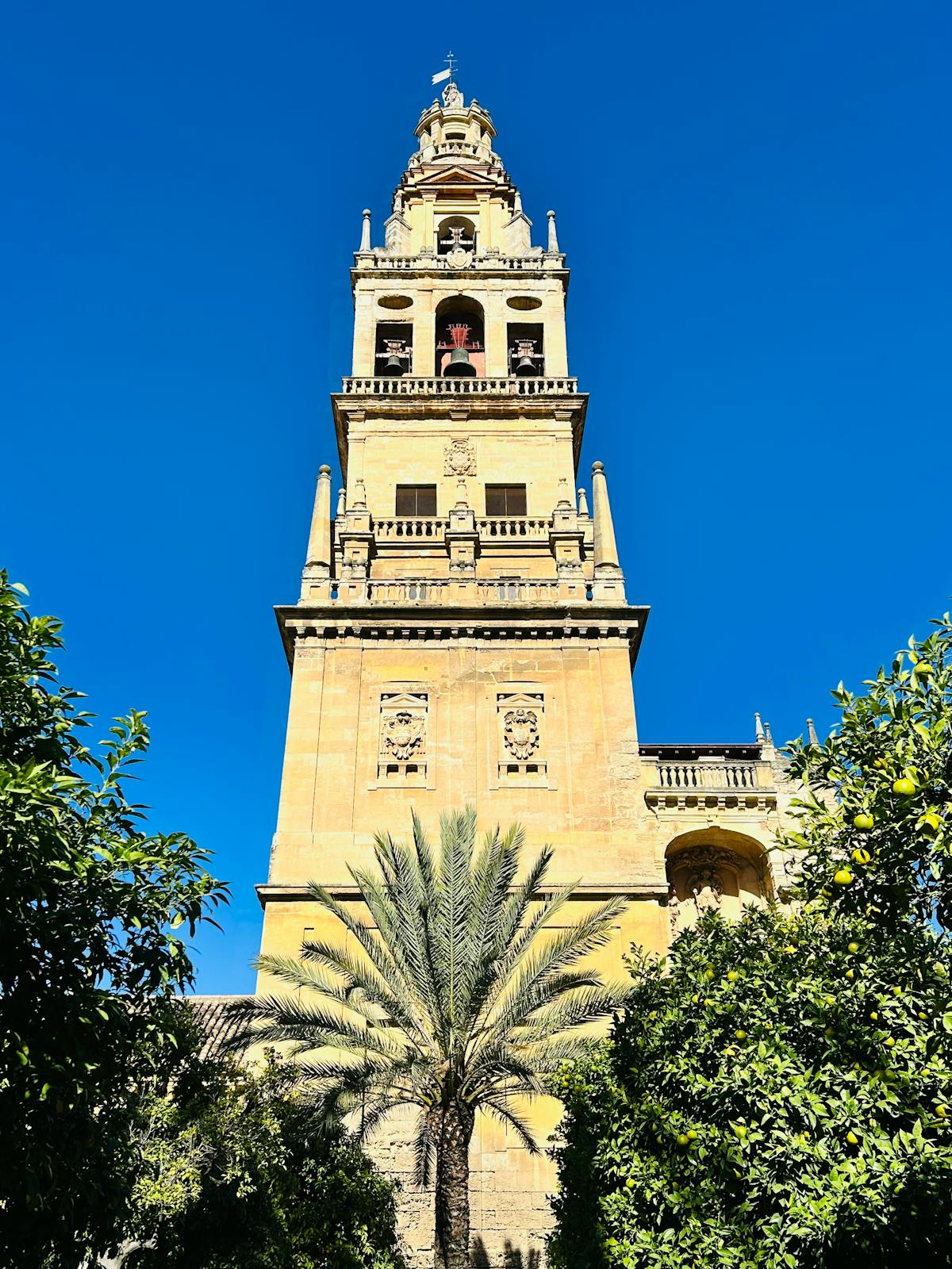 The bell tower of the Mosque-Cathedral rising above palm trees in Cordoba