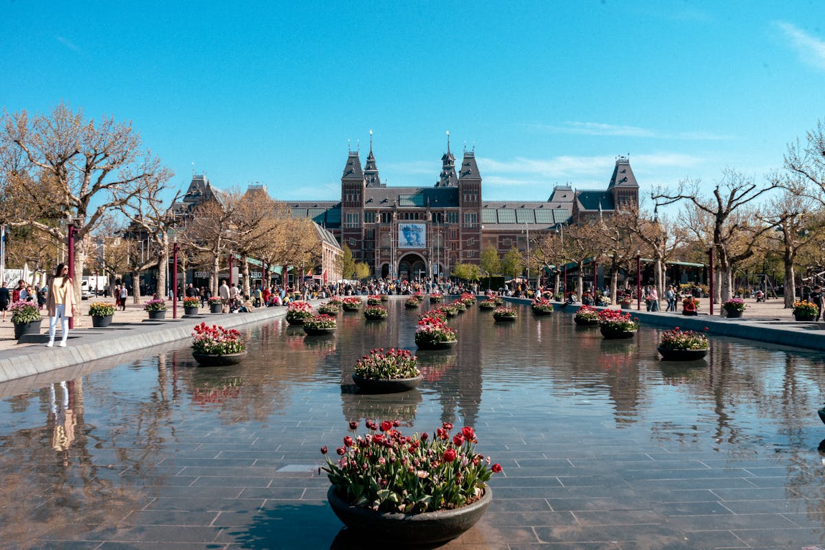 Rijksmuseum in Amsterdam with tulip planters and reflecting pond