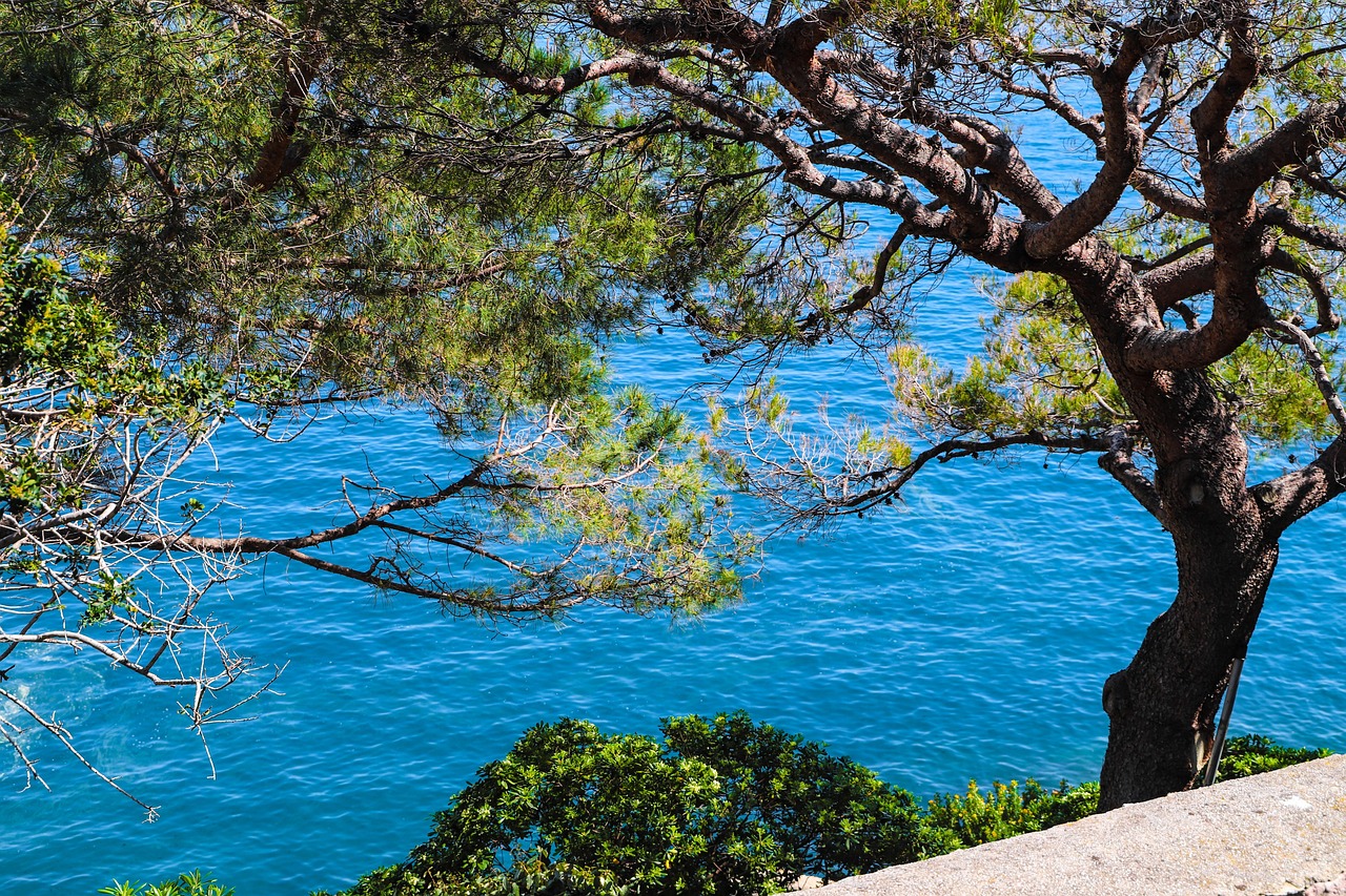 Monaco beach with high-rise buildings and the Mediterranean Sea