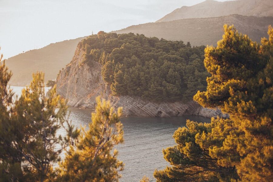 Cliffside Adriatic coast trees sunlight
