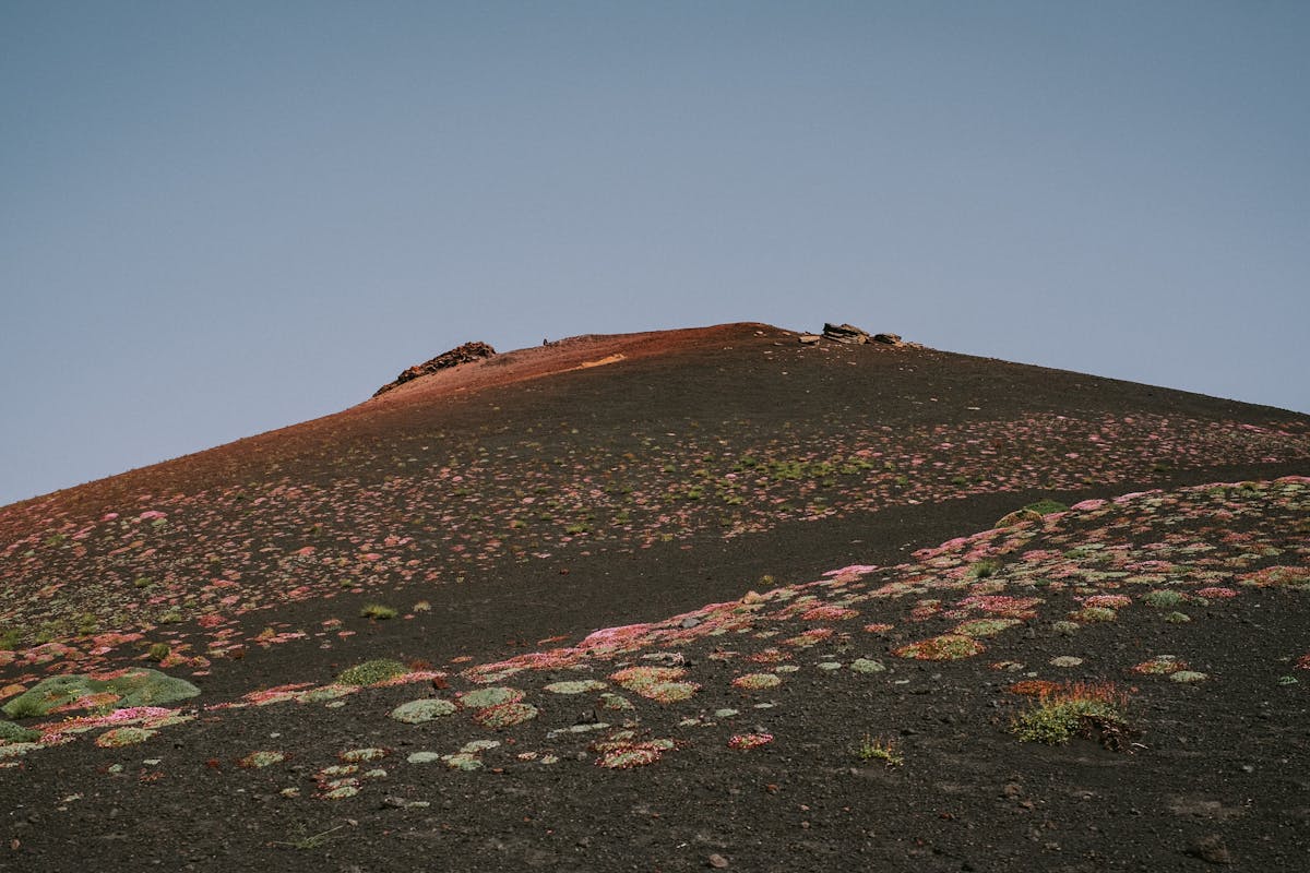 Red volcanic soil and scattered vegetation on Mount Etna mid-slopes