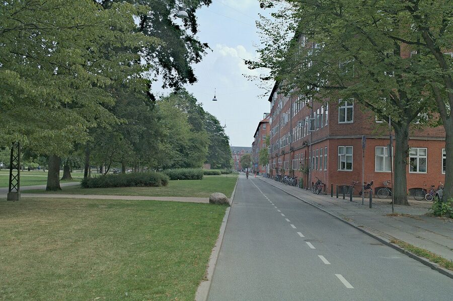 Green tree-lined street in Norrebro Copenhagen