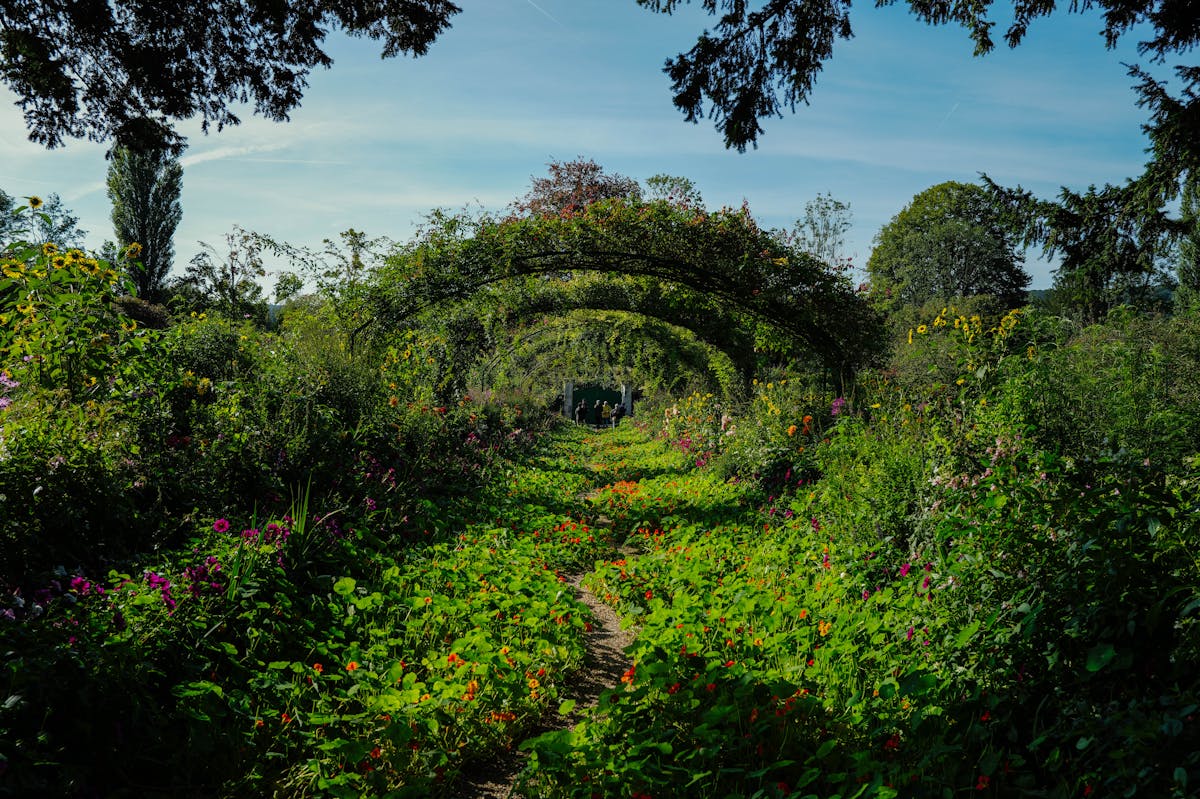 Lush garden path with floral archway at Giverny