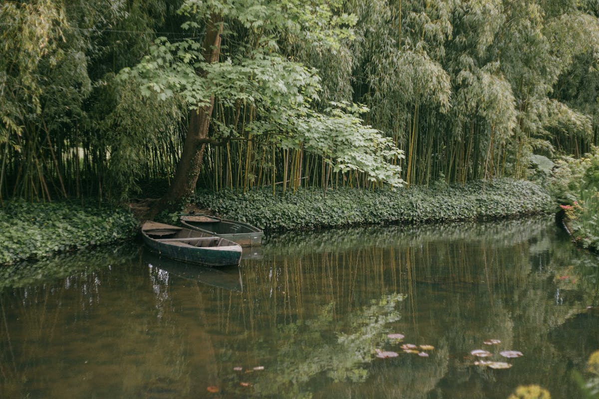 Tranquil pond with small boats in Giverny garden