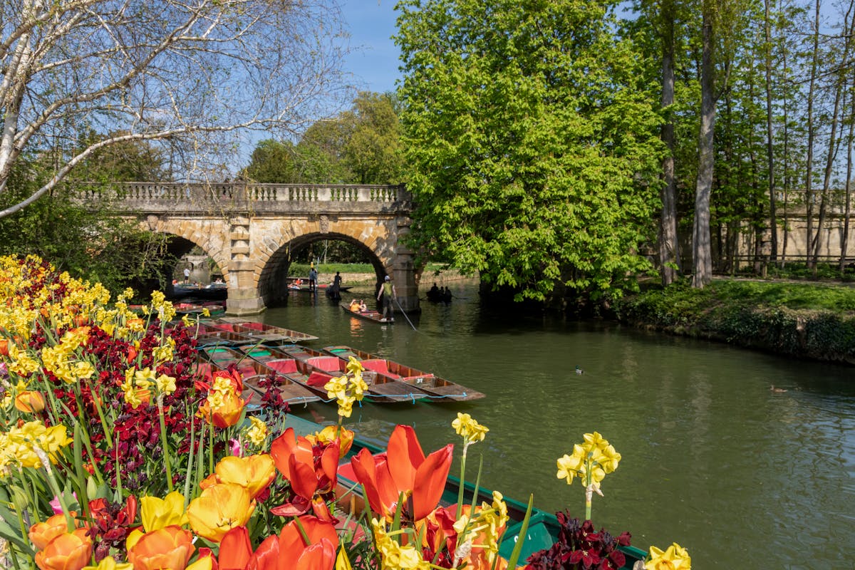 Spring flowers and punts along the River Cherwell near Magdalen Bridge Oxford