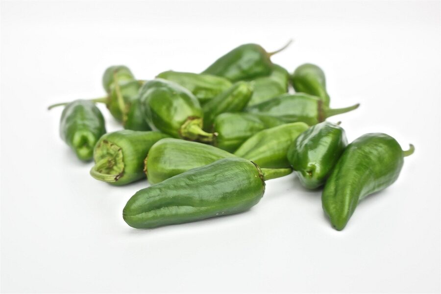 Padron peppers fried in olive oil as a Spanish tapa