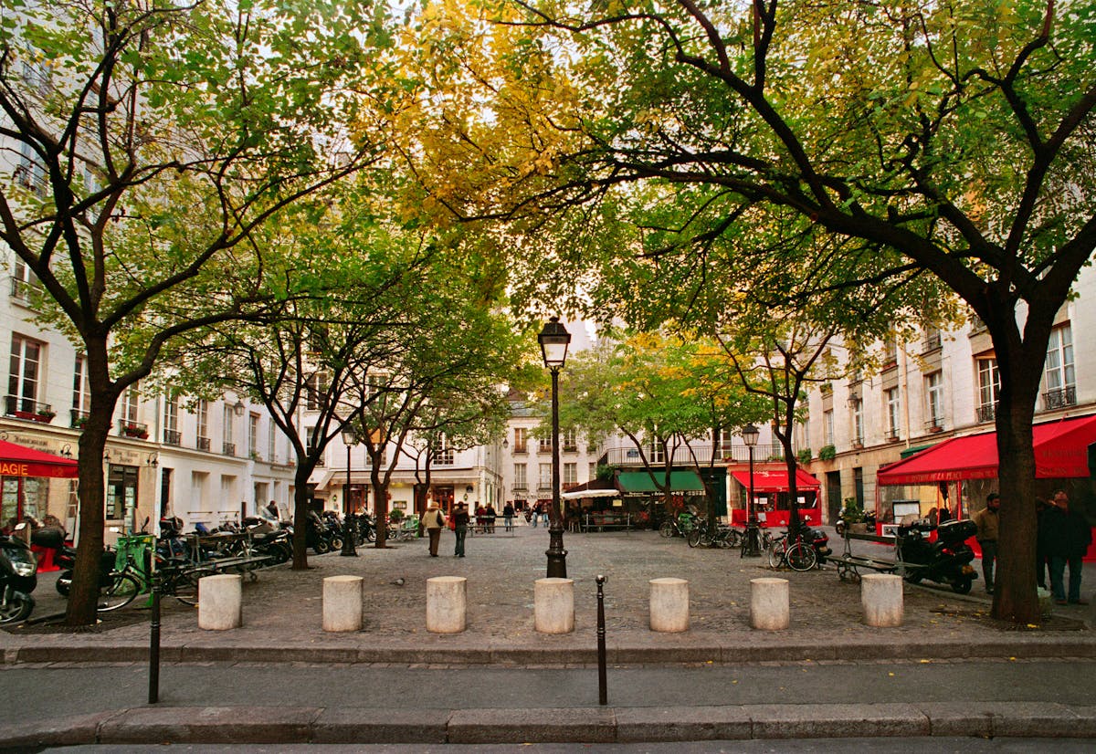 Scenic Parisian plaza with autumn trees and cafe terraces