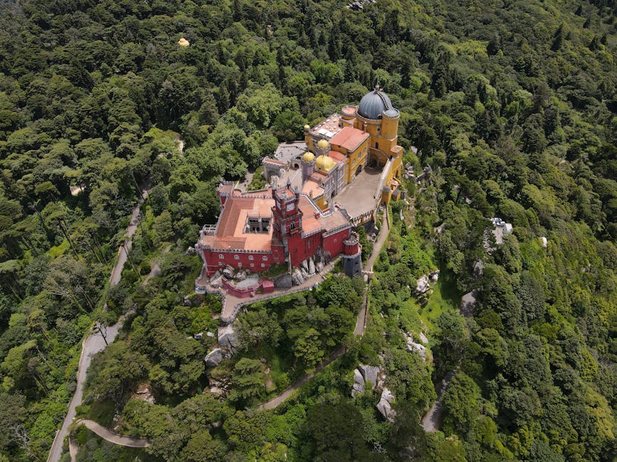 Aerial view of Pena Palace in Sintra forest canopy