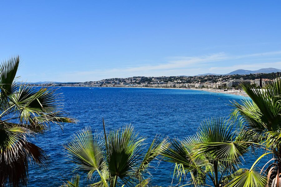 Palm trees and turquoise sea along the Cote d'Azur coastline