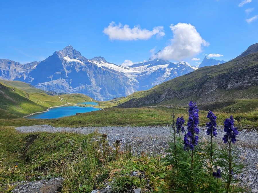 Alpine meadow with blue lakes and wildflowers surrounded by mountain peaks near Grindelwald