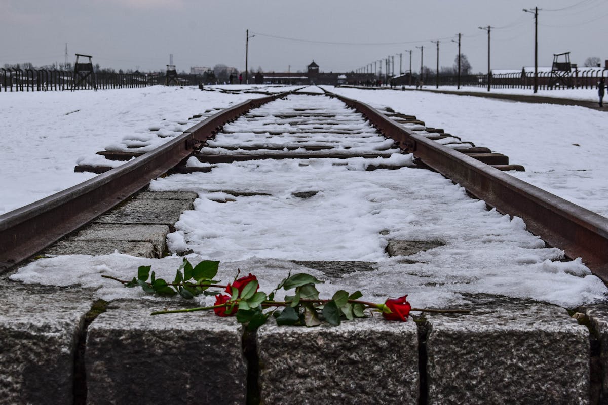Snow-covered railway tracks with red roses at Auschwitz-Birkenau
