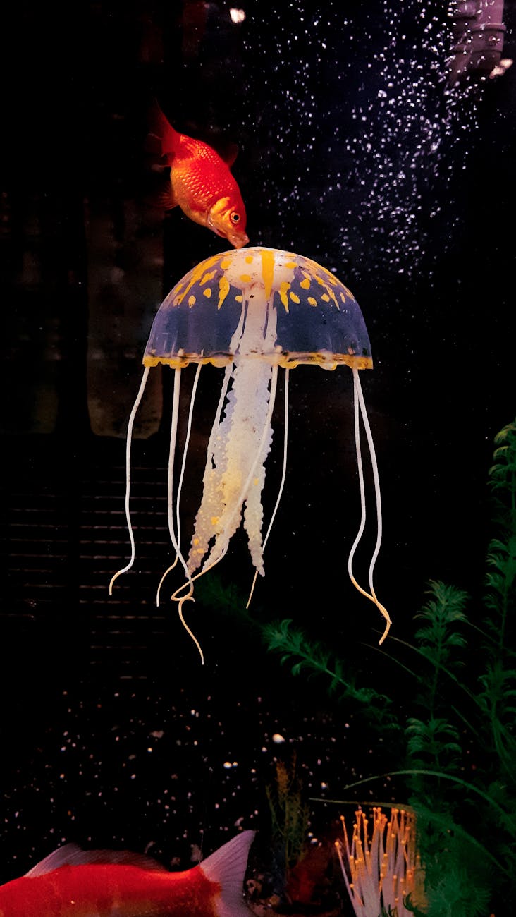 Delicate jellyfish tentacles trailing through illuminated water in a dark aquarium setting