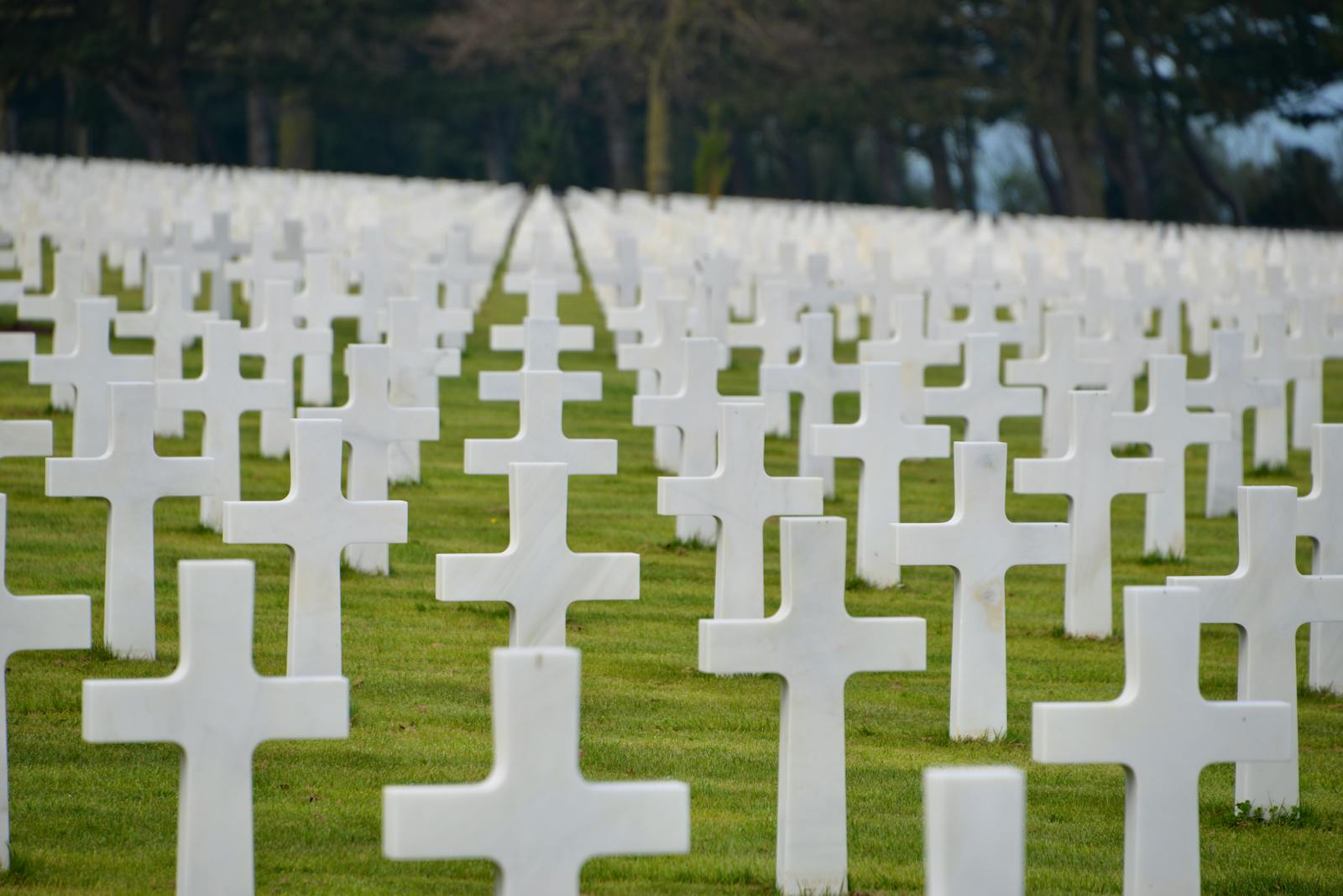 Rows of white crosses at Normandy American Cemetery in sunlight