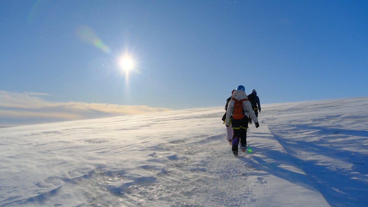 Group of hikers walking on a glacier in Iceland under bright sunlight