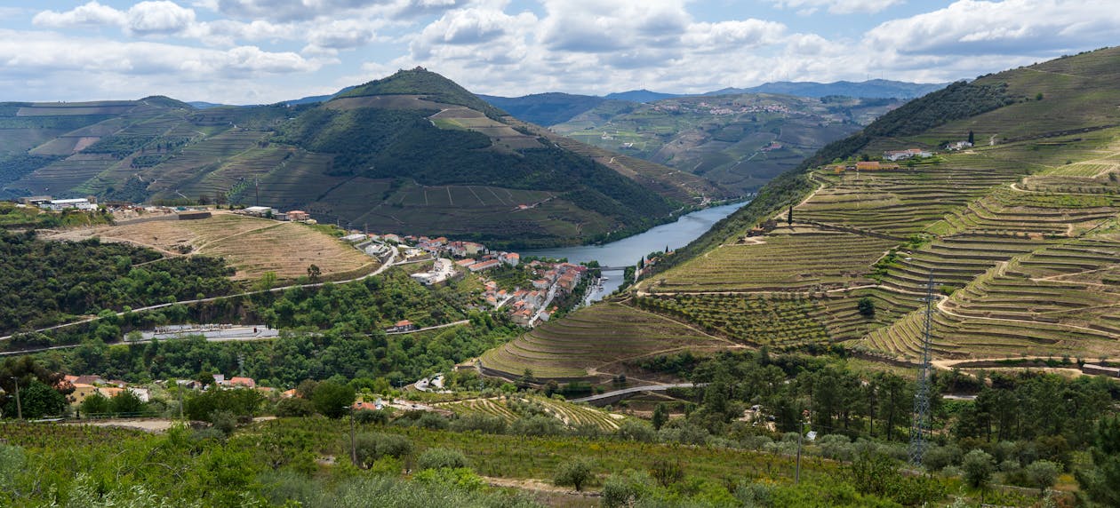 Aerial view of Douro Valley terraced vineyards and river from above