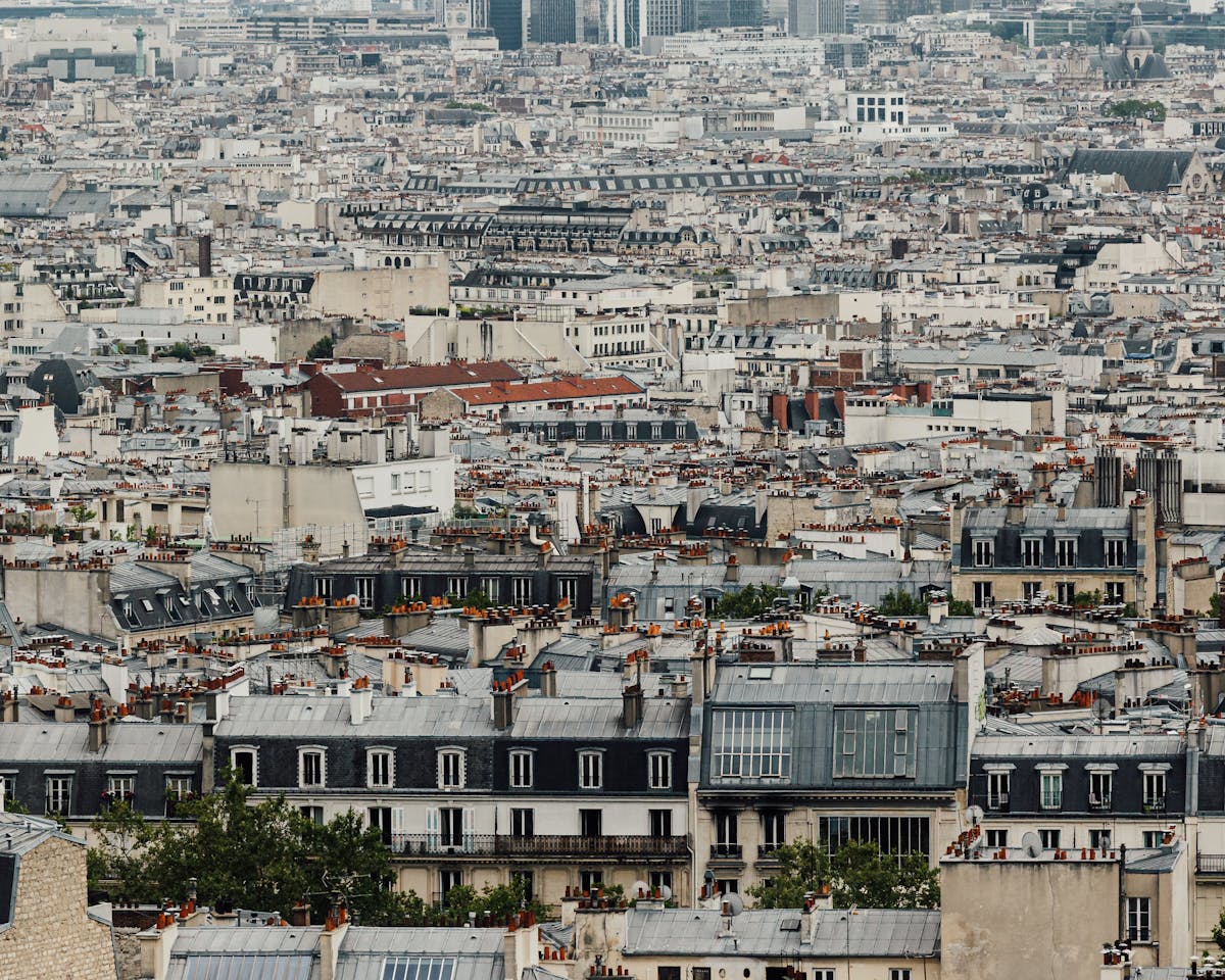 An aerial view of countless Paris rooftops with zinc and slate tiles