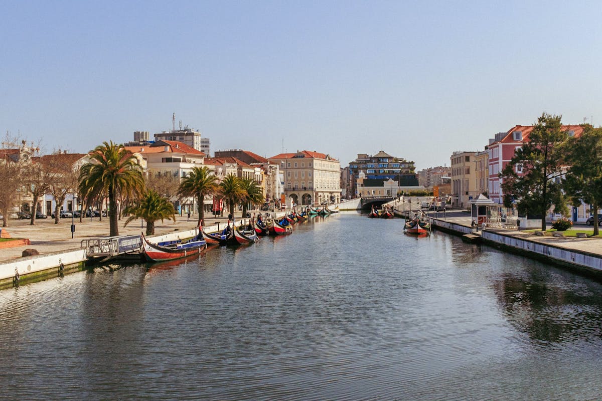 View of Aveiro central canal with colorful moliceiros and classic waterfront architecture