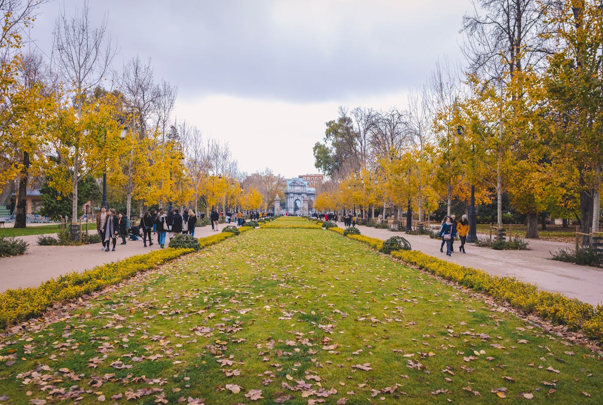 Autumn scene in Retiro Park, Madrid with people walking among colorful trees near the Prado Museum