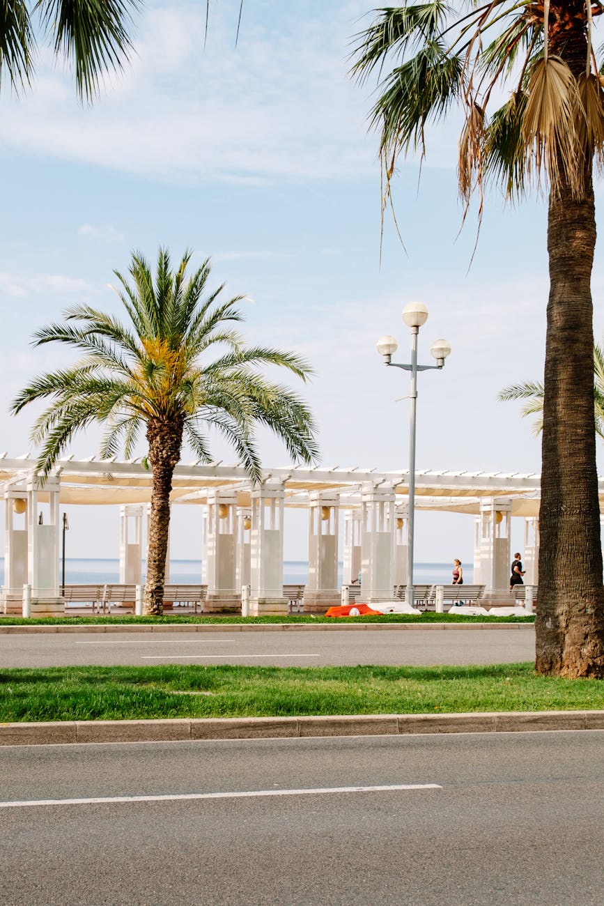 Nice Promenade des Anglais curving along the shoreline with palm trees and the city behind it