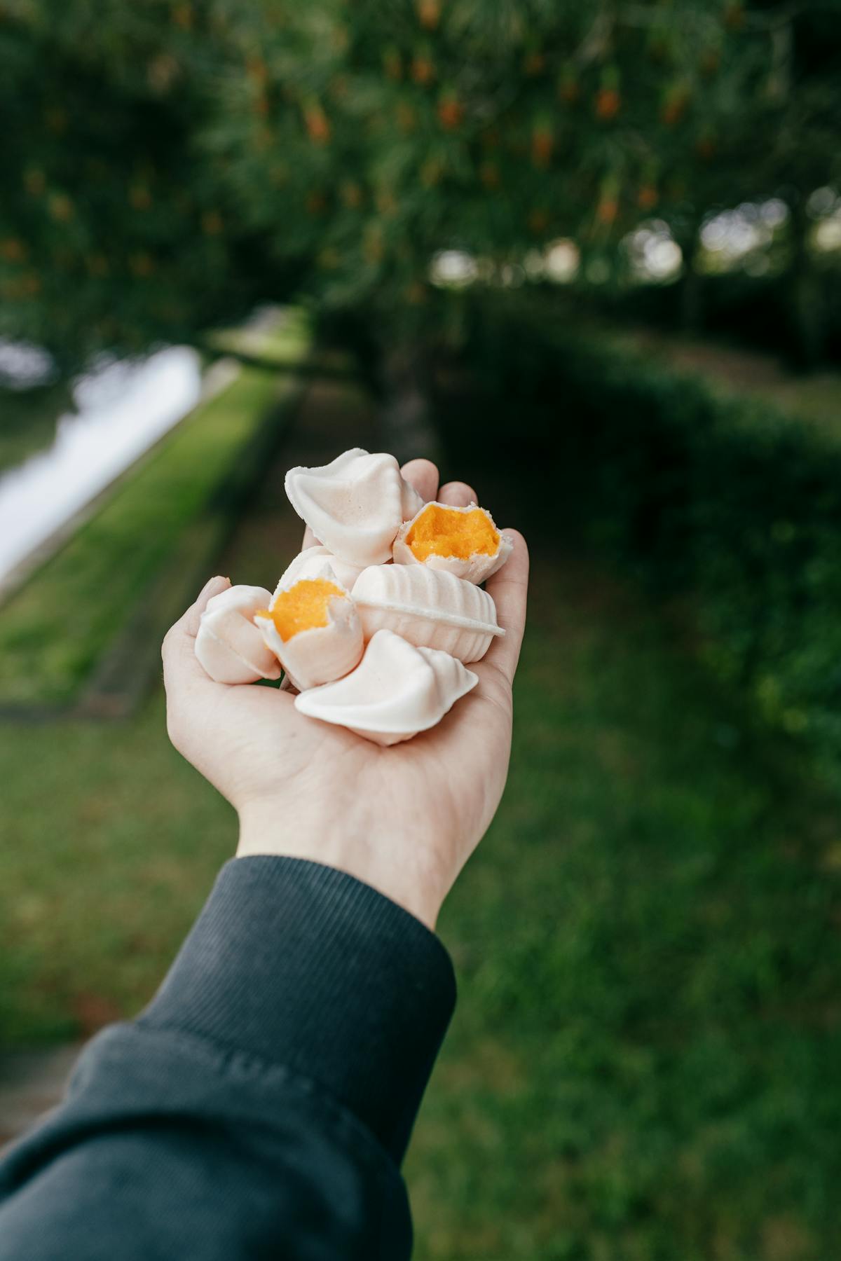 Hand holding ovos moles, a traditional egg-yolk pastry from Aveiro Portugal