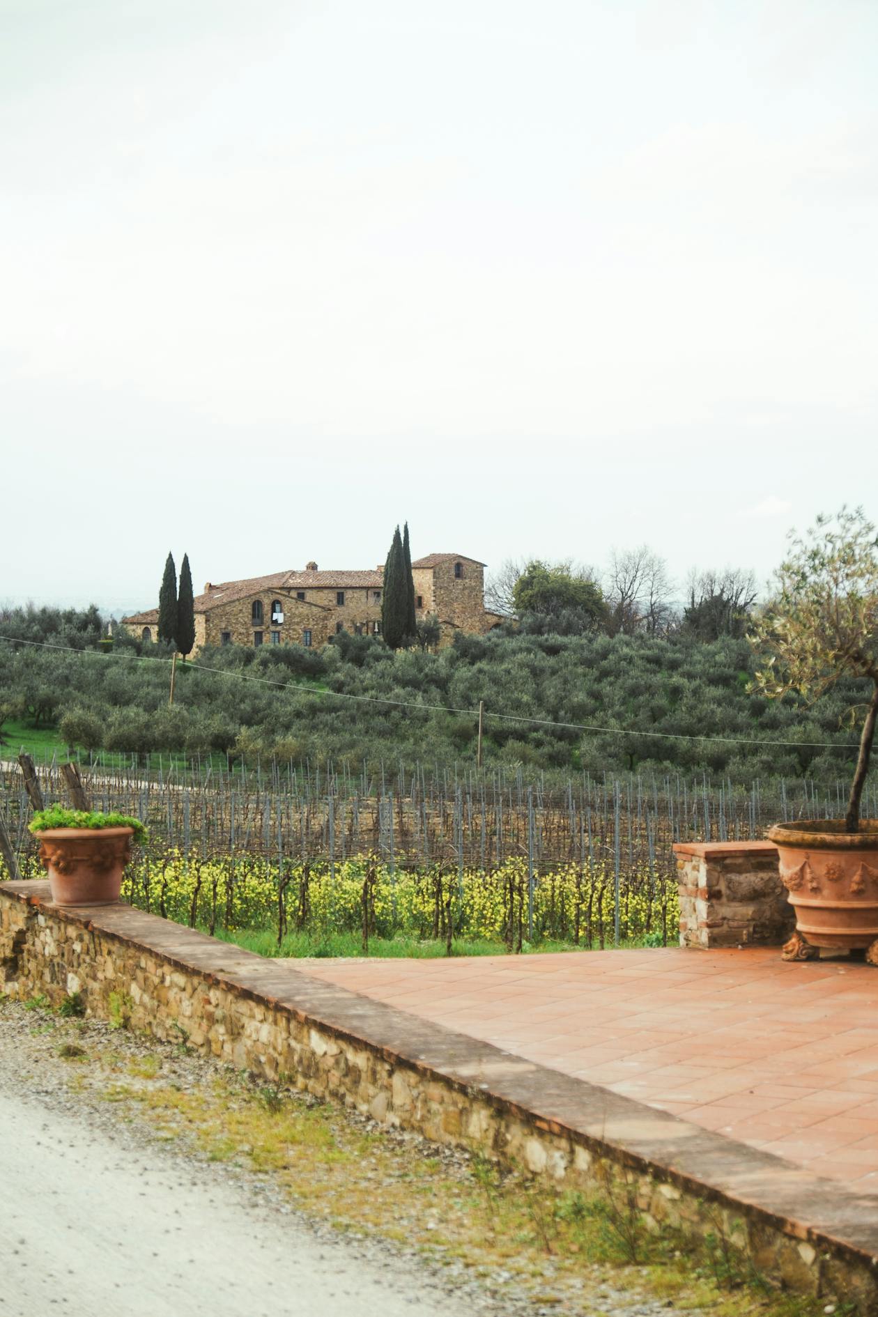 A stone farmhouse nestled among green vineyards in the Florence countryside