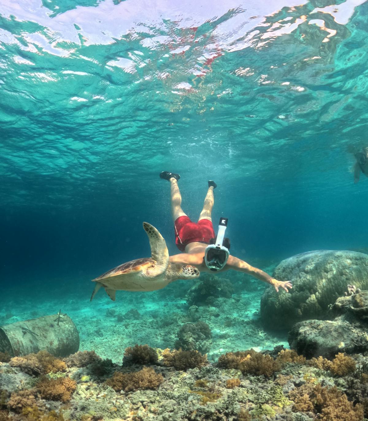 A snorkeler swimming alongside a sea turtle in clear tropical waters