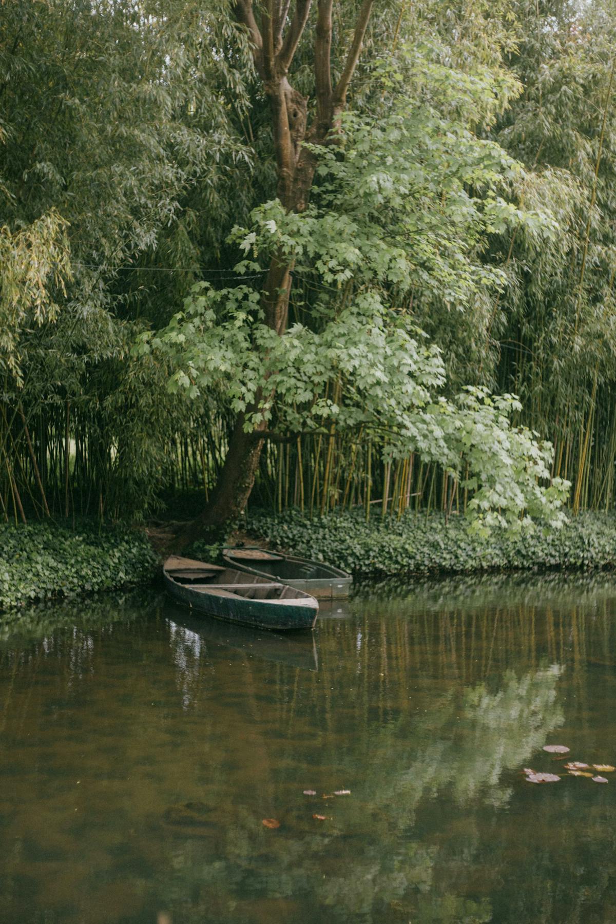 Small boats on a quiet pond in Monet garden at Giverny