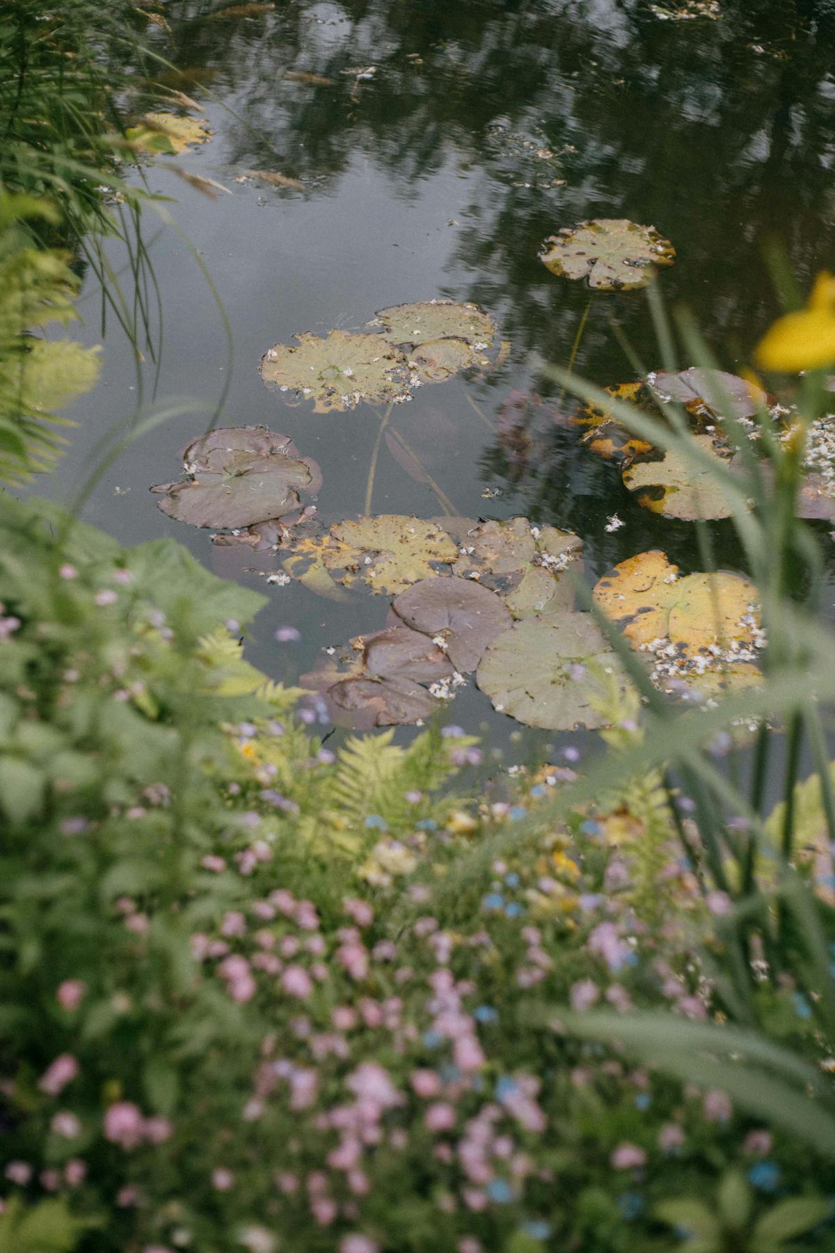 Lily pond surrounded by flowers in Giverny