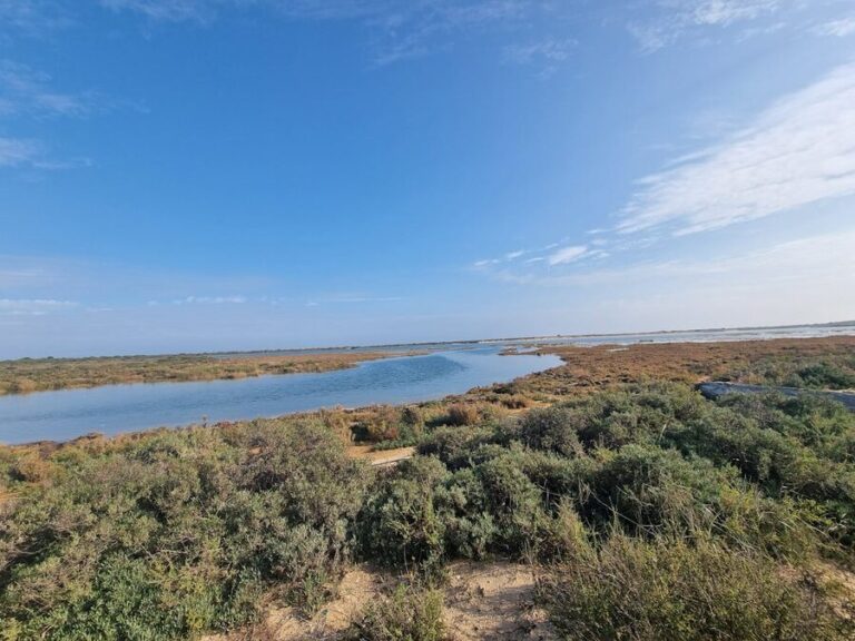 Coastal wetlands of the Ria Formosa Natural Park under a clear blue sky