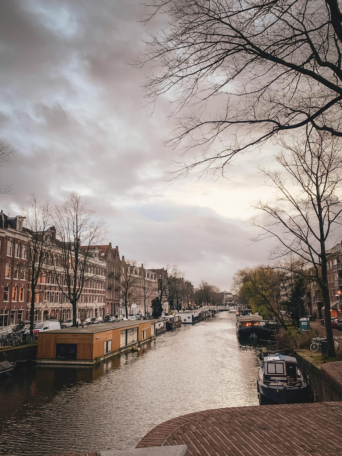 Amsterdam canal lined with houseboats and trees on a clear day