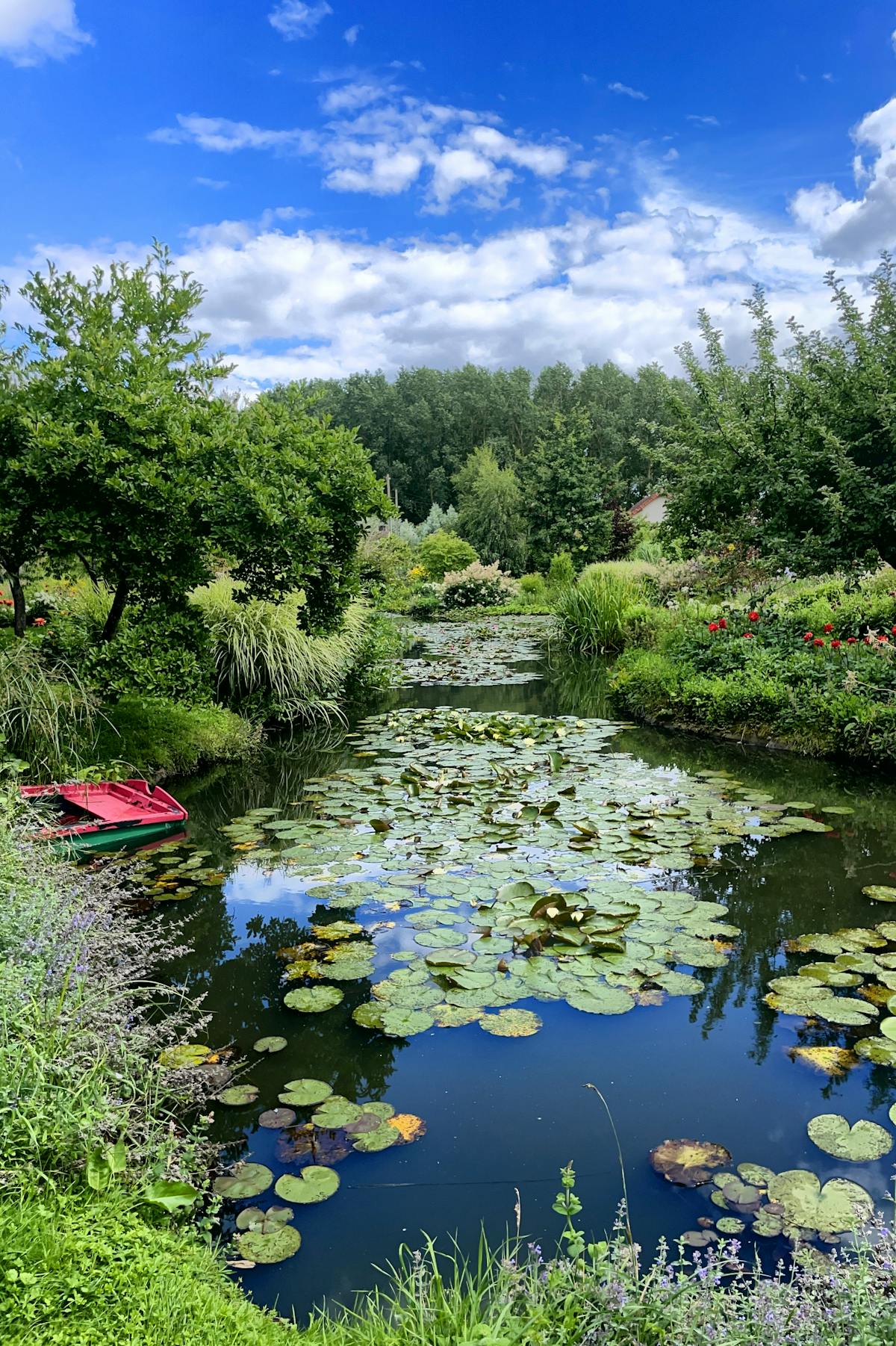 Garden pond with water lilies under blue sky at Giverny