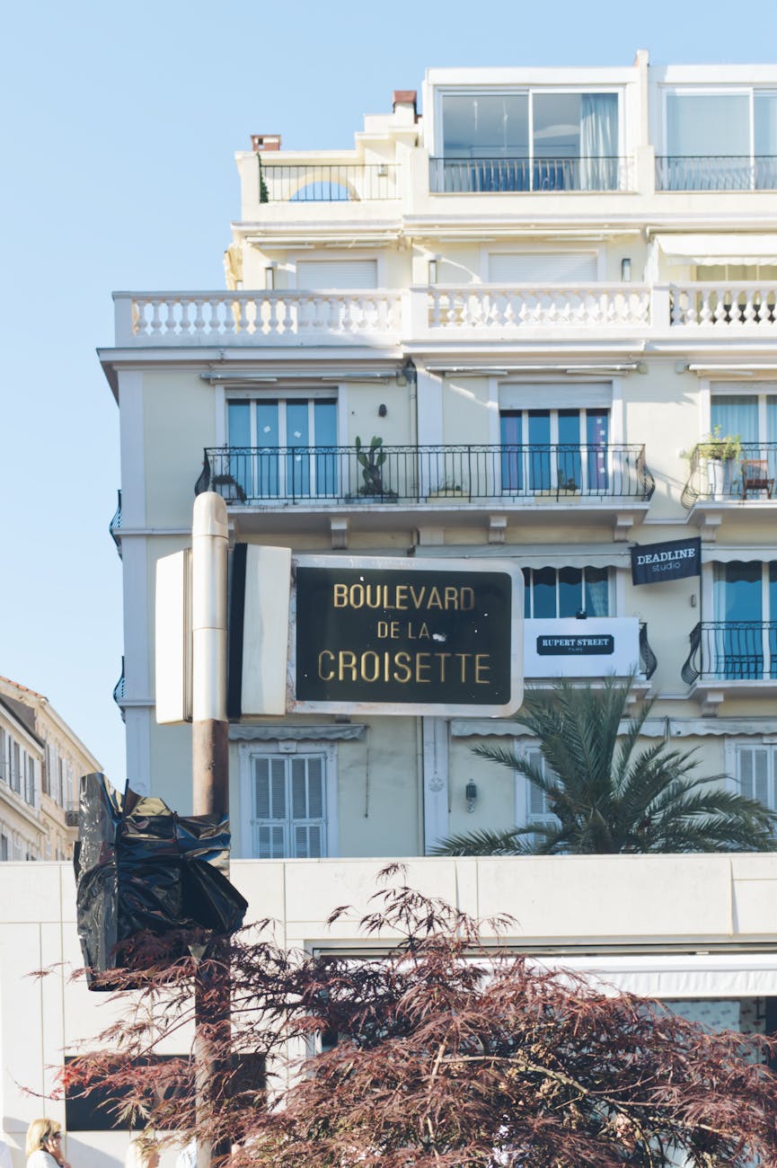 Cannes waterfront with the Croisette promenade and palm trees along the beach