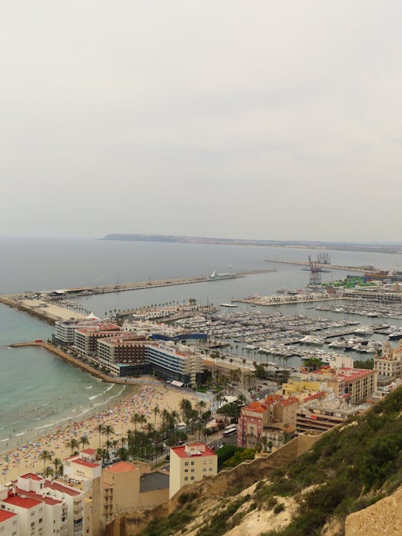 Alicante marina and beach aerial view