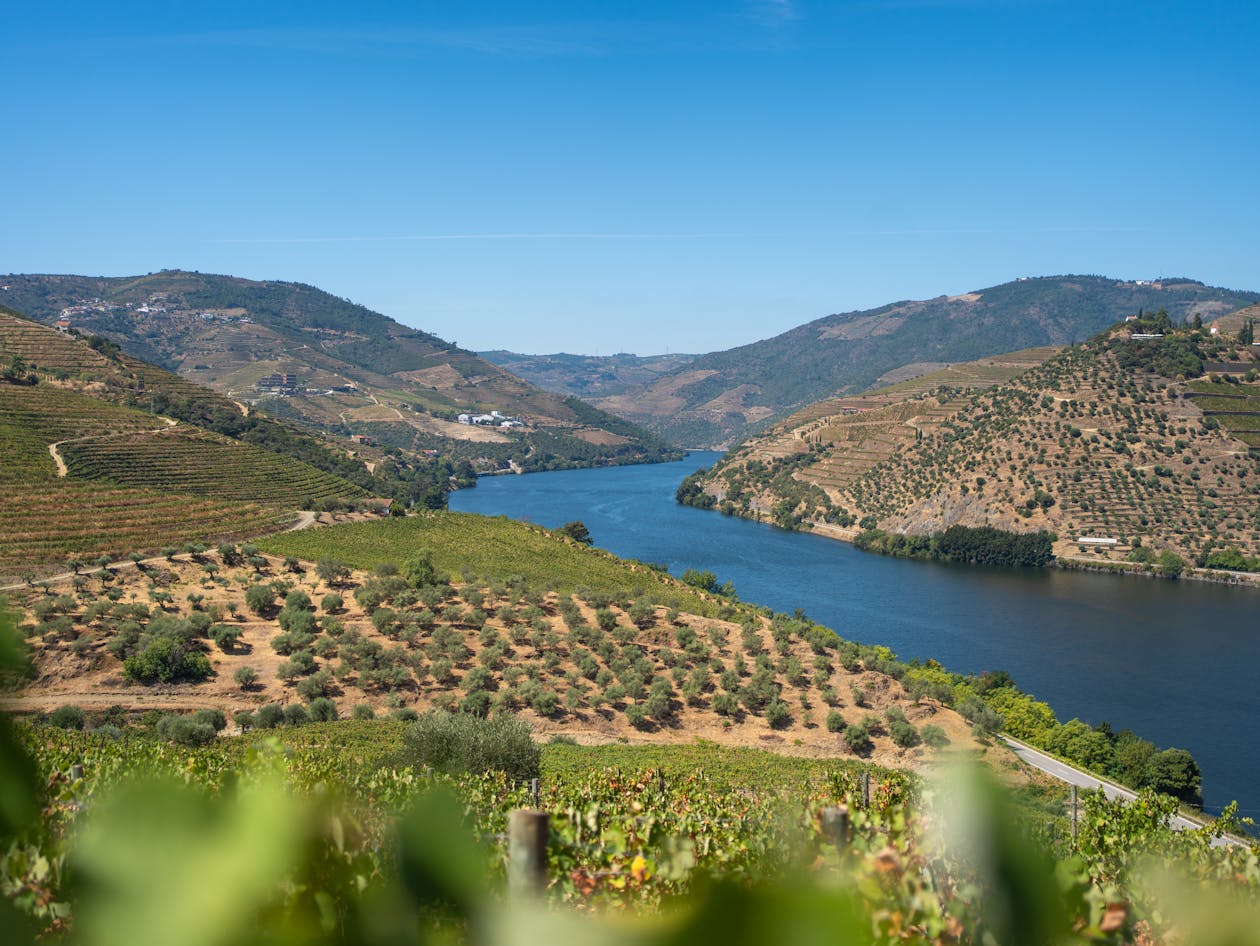 Douro River winding through vine-covered hillsides in northern Portugal