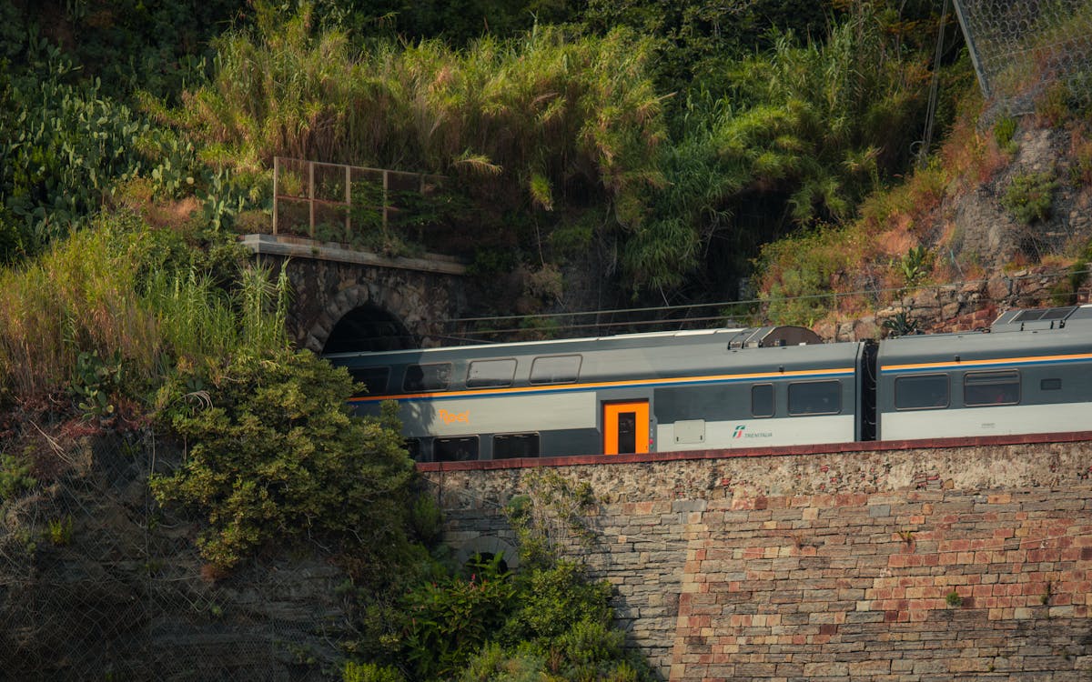 Train exiting a tunnel surrounded by greenery near Vernazza Cinque Terre