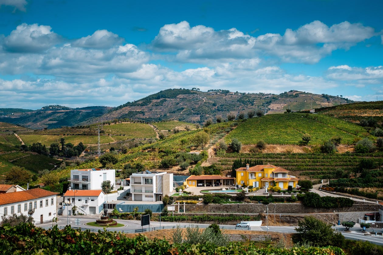 Colorful houses among green vineyards in a Douro Valley village