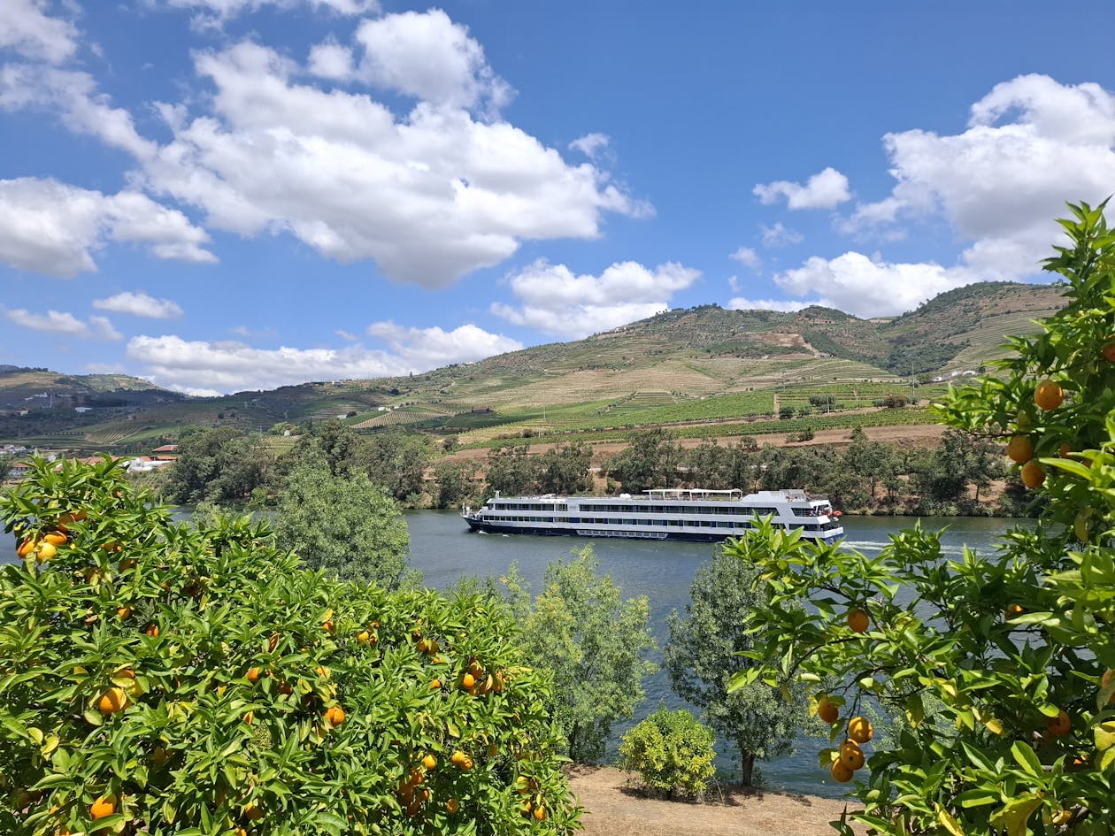 River cruise ship sailing on the Douro River past terraced vineyards