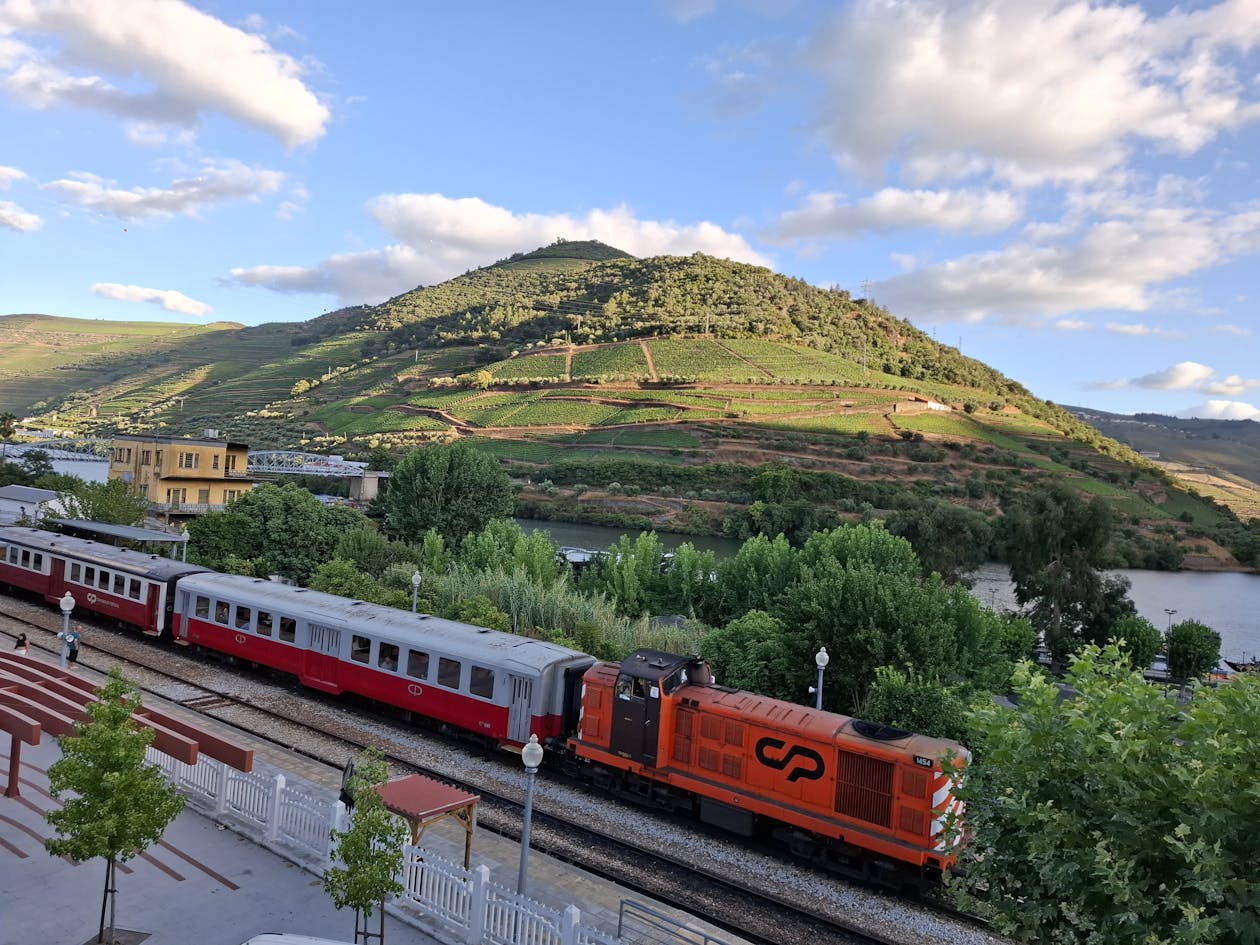 Train passing through the scenic Douro Valley along the riverbank in Portugal