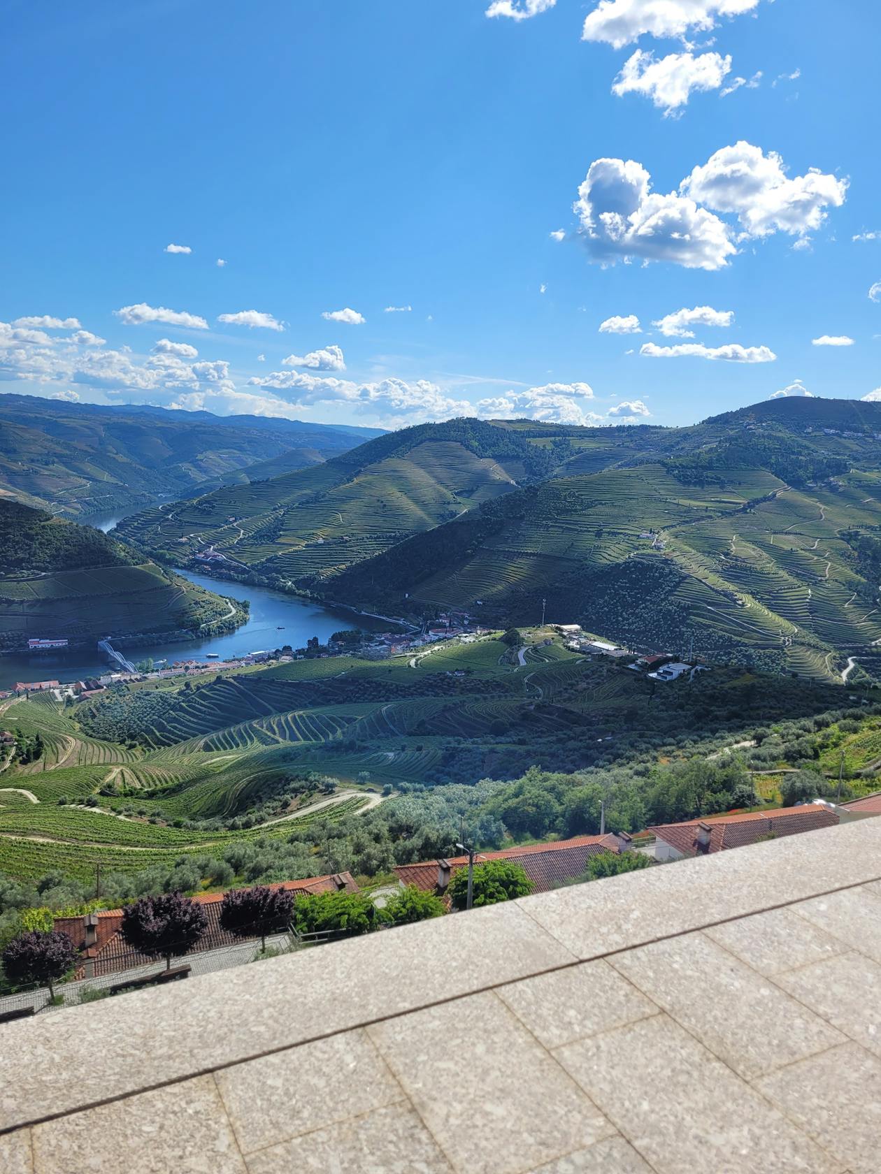 Terraced vineyards in the Douro Valley under blue skies
