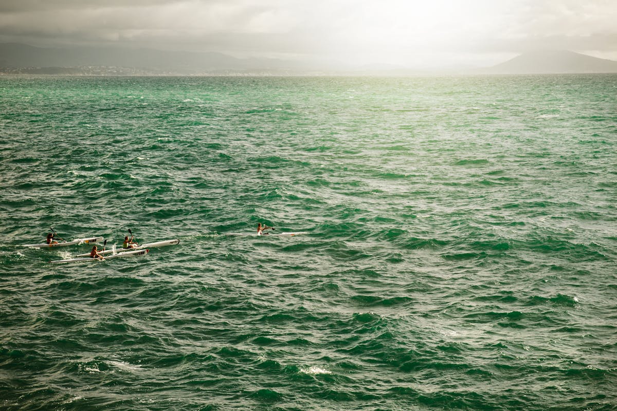 A group of kayakers paddling in green tropical waters with mountains in the background
