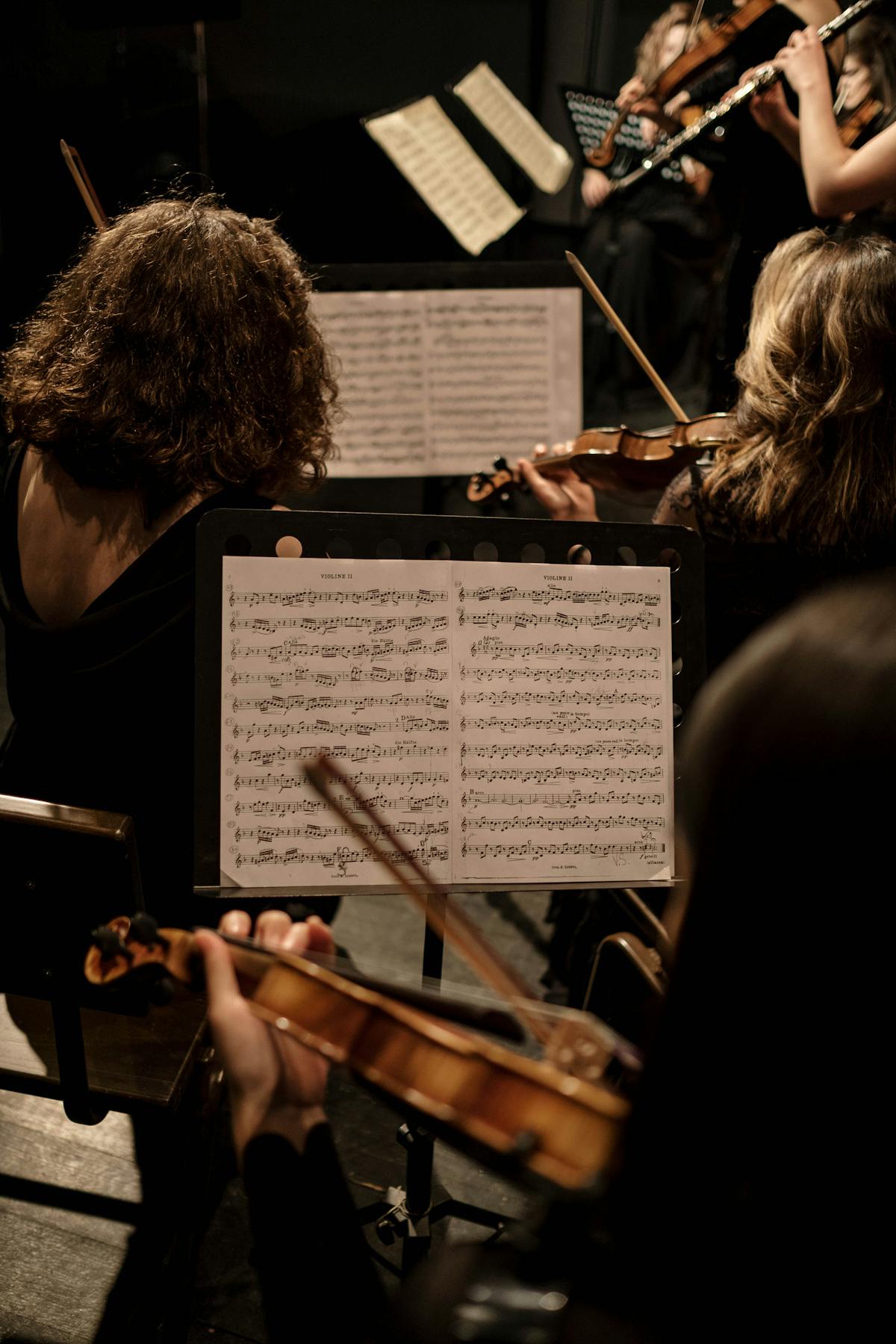 Close-up view of violin strings during a classical music performance