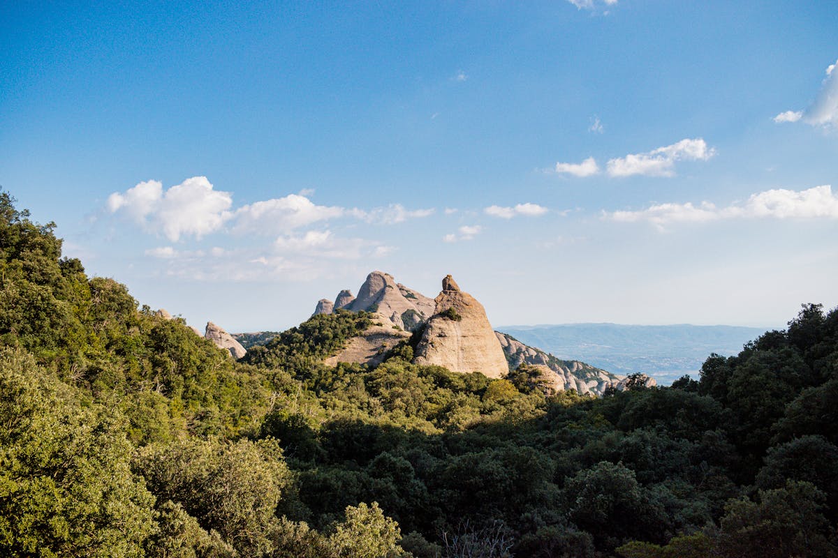 Inside the Montserrat basilica showing ornate golden decorations and arched ceilings