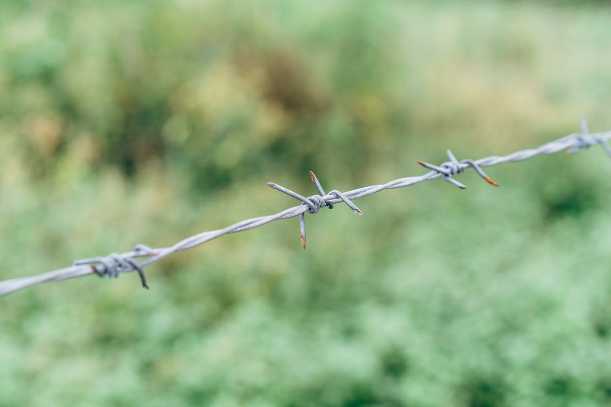 Close-up of rusted barbed wire with blurred green background