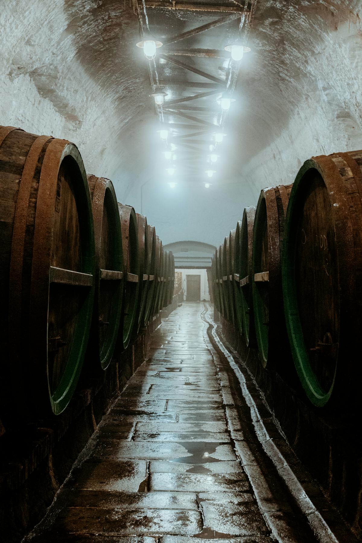Old wine barrels in a historic cellar in Pilsen, Czechia