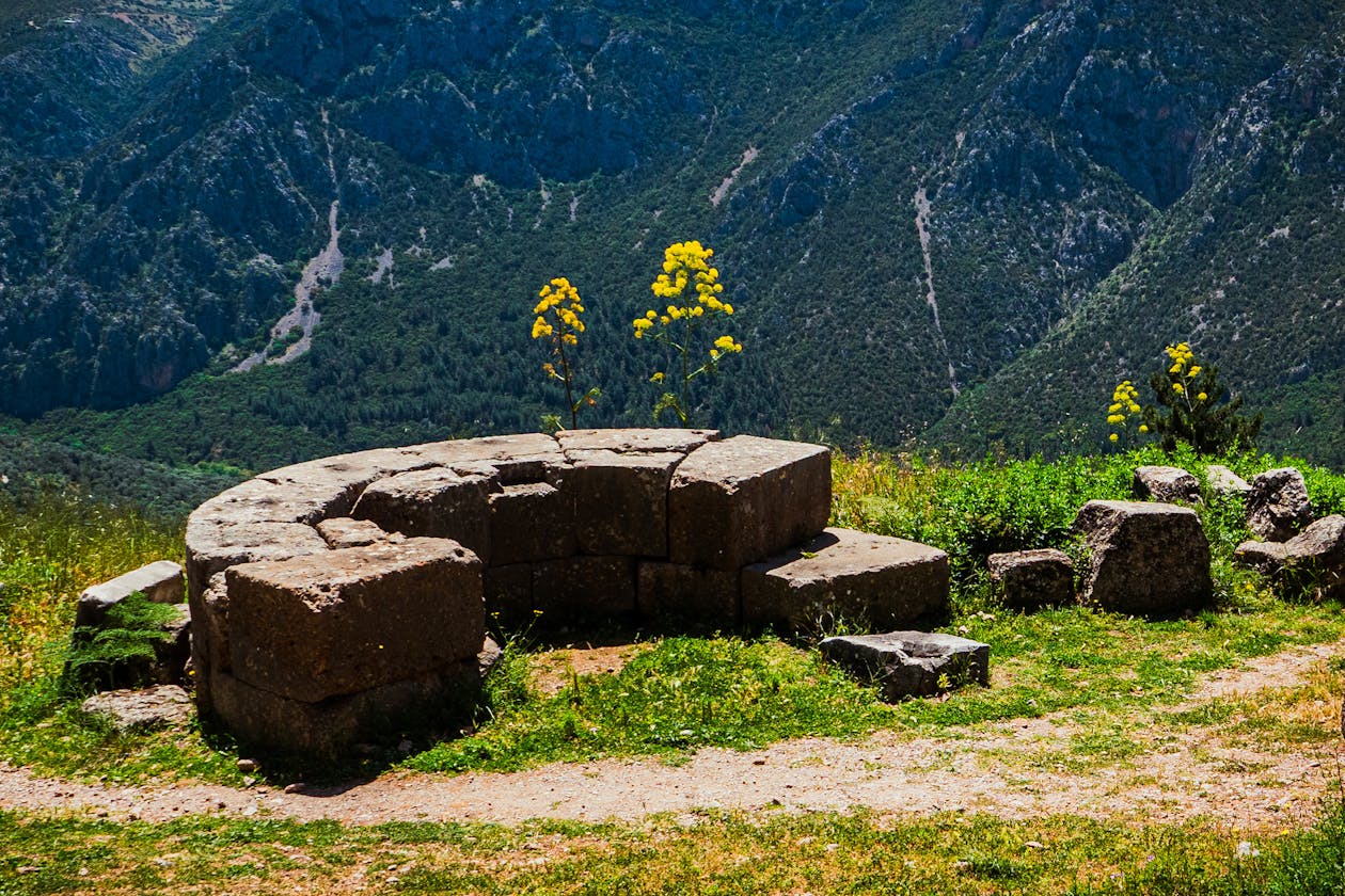 Delphi ruins surrounded by wildflowers with mountain backdrop