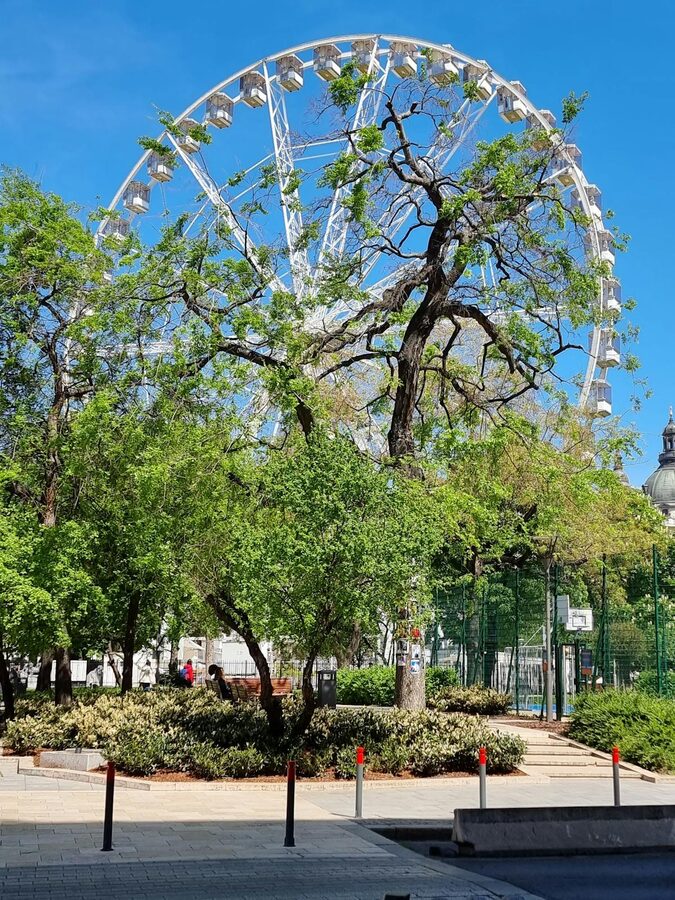 Budapest City Park green trees and walking paths near Szechenyi Baths