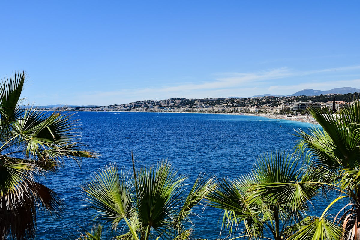 Palm trees azure coast Provence Cote d Azur