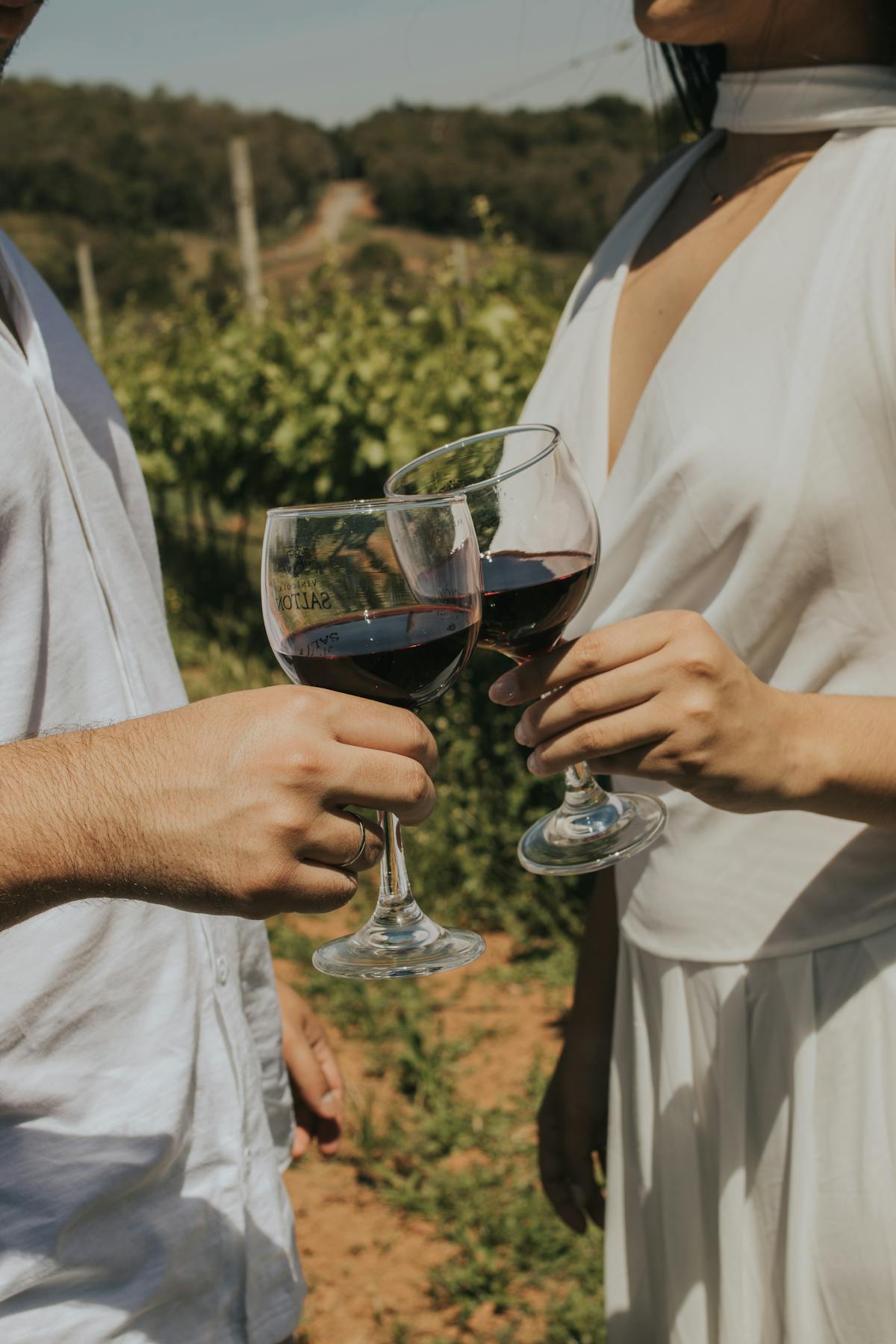 Couple toasting wine in a vineyard at sunset