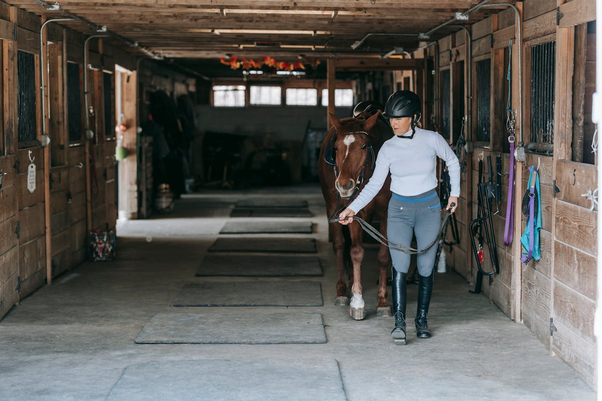 Woman guiding horse through a stable corridor in an equestrian facility