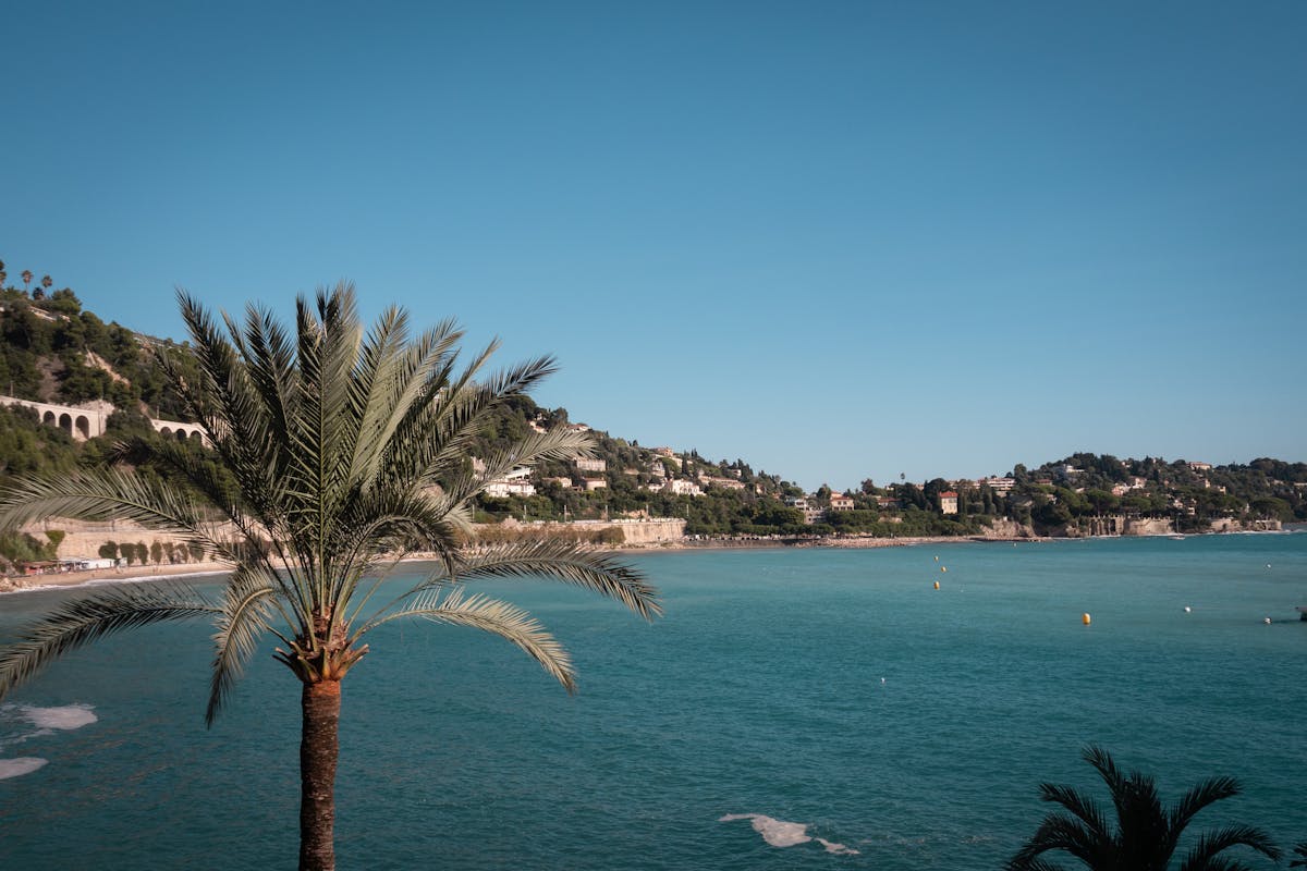 Palm tree coastline Villefranche-sur-Mer sunny day